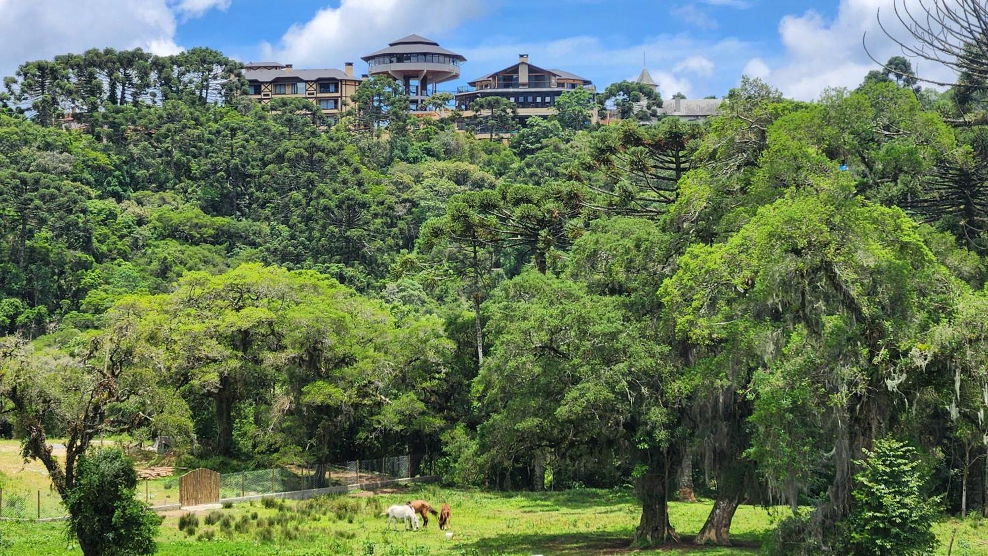 Villa CHALÉ TANAJURA - MONTE VERDE - Lareira, aconchego e WiFi Extérieur photo